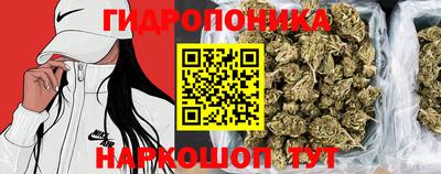соль ск Будённовск