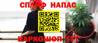 соль ск Будённовск