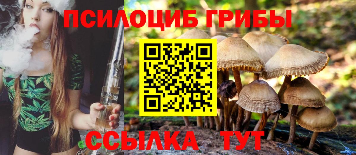 Заринск  Псилоцибиновые грибы Magic Shrooms  Вход с VPN 